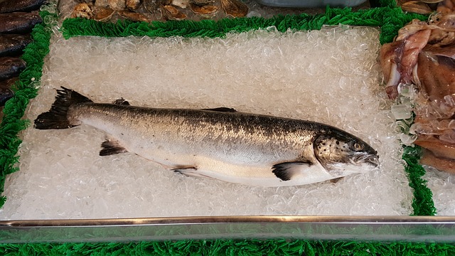 salmon-ikan